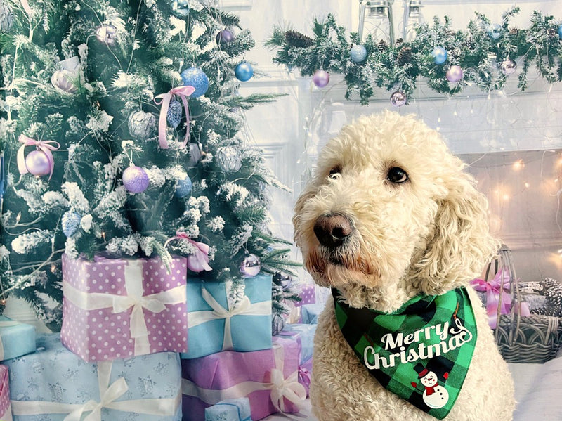 Load image into Gallery viewer, set van 2 kerst Hondenbandana - halsdoek voor je huisdier bandana hond honden kat- sjaal S
